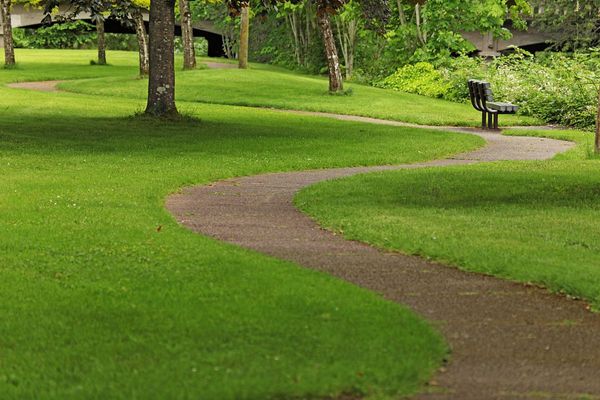 The Continuous Journeys of Life
